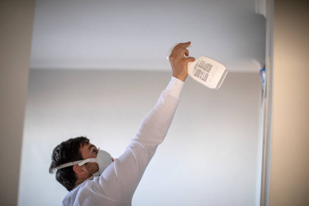 Best Mold Cleaning Services  in English, IN