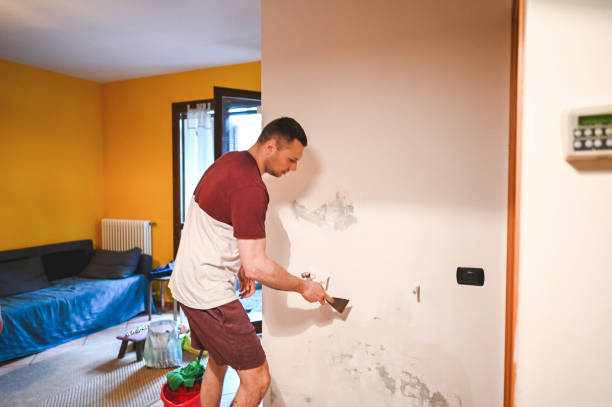 Best Toxic Mold Removal  in English, IN